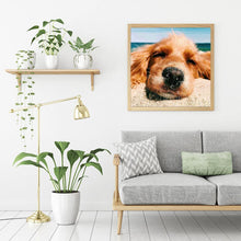 Lade das Bild in den Galerie-Viewer, Hund - volle Diamant-Malerei - 30x30cm