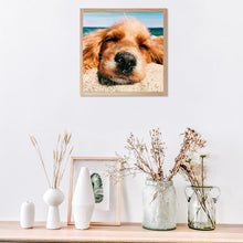 Lade das Bild in den Galerie-Viewer, Hund - volle Diamant-Malerei - 30x30cm
