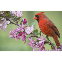 Lade das Bild in den Galerie-Viewer, Vogel Zweig - voller quadratischer Diamant - 40x30cm