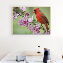 Lade das Bild in den Galerie-Viewer, Vogel Zweig - voller quadratischer Diamant - 40x30cm