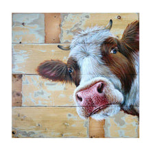Lade das Bild in den Galerie-Viewer, Kuh - volle Diamant-Malerei - 30x30cm