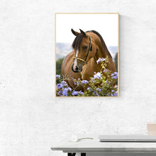 Lade das Bild in den Galerie-Viewer, Pferdeblumen - voller runder Diamant - 30x40cm