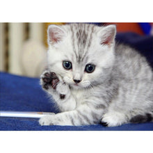 Lade das Bild in den Galerie-Viewer, Hallo Katze - voller runder Diamant - 40x30cm