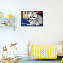 Lade das Bild in den Galerie-Viewer, Hallo Katze - voller runder Diamant - 40x30cm