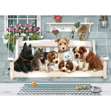 Lade das Bild in den Galerie-Viewer, Hunde Katze - voller runder Diamant - 30x40cm
