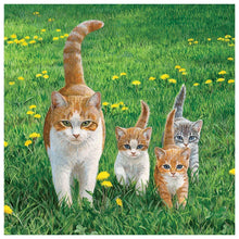 Lade das Bild in den Galerie-Viewer, Katzen Familie - voller runder Diamant - 30x30cm