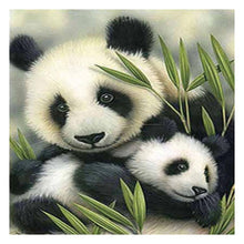 Lade das Bild in den Galerie-Viewer, Niedlicher Panda - voller runder Diamant - 30x30cm