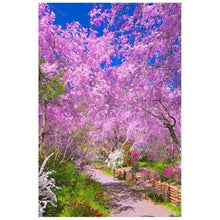 Lade das Bild in den Galerie-Viewer, Blumen Baum weg - voller runder Diamant - 40x30cm