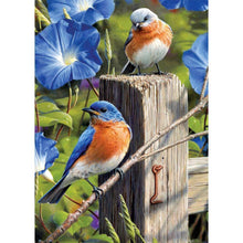 Lade das Bild in den Galerie-Viewer, Vogel - voller runder Diamant - 40x30cm