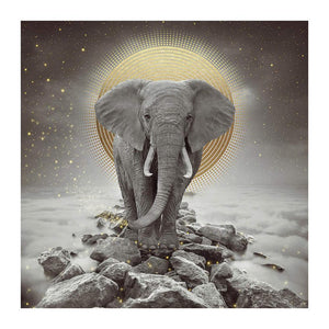 Elefant - volle Diamant-Malerei - 30x30cm