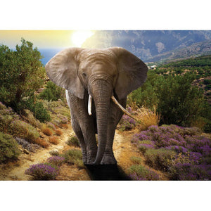 Elefant - voller runder Diamant - 40x30cm