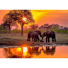 Lade das Bild in den Galerie-Viewer, Elefant - volle Diamant-Malerei - 40x30cm