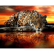 Lade das Bild in den Galerie-Viewer, Tiere - voller quadratischer Diamant - 40x30cm