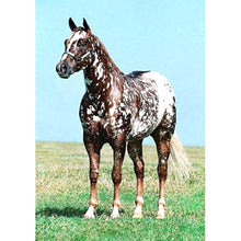 Lade das Bild in den Galerie-Viewer, Kunst - voller quadratischer Diamant - 40x30cm