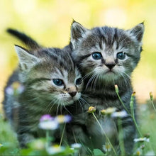 Lade das Bild in den Galerie-Viewer, Kunst - voller runder Diamant - 30x30cm