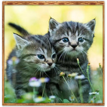 Lade das Bild in den Galerie-Viewer, Kunst - voller runder Diamant - 30x30cm