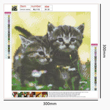 Lade das Bild in den Galerie-Viewer, Kunst - voller runder Diamant - 30x30cm