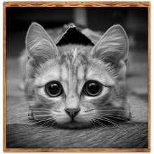 Lade das Bild in den Galerie-Viewer, Kunst - voller runder Diamant - 30x30cm