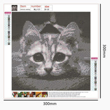 Lade das Bild in den Galerie-Viewer, Kunst - voller runder Diamant - 30x30cm