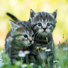 Lade das Bild in den Galerie-Viewer, Kunst - voller runder Diamant - 30x30cm