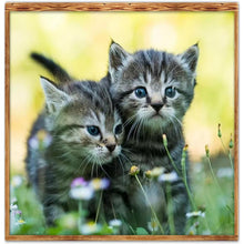 Lade das Bild in den Galerie-Viewer, Kunst - voller runder Diamant - 30x30cm