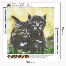 Lade das Bild in den Galerie-Viewer, Kunst - voller runder Diamant - 30x30cm