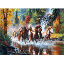 Lade das Bild in den Galerie-Viewer, Pferd - voller runder Diamant - 40x30cm
