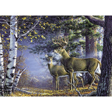 Lade das Bild in den Galerie-Viewer, Hirsch Natur - voller runder Diamant - 40x30cm