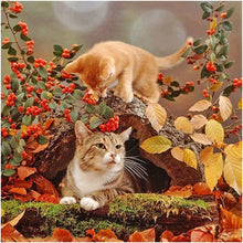Lade das Bild in den Galerie-Viewer, Katze - voller runder Diamant - 30x30cm