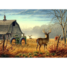 Lade das Bild in den Galerie-Viewer, Fawn - voller runder Diamant - 40x30cm