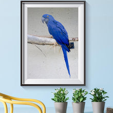 Lade das Bild in den Galerie-Viewer, Vogel - voller runder Diamant - 40x30cm