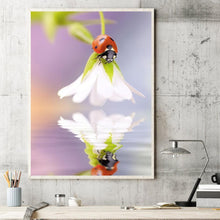 Lade das Bild in den Galerie-Viewer, Blume Marienkäfer - voller runder Diamant - 30x40cm