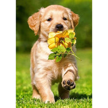 Lade das Bild in den Galerie-Viewer, Hund - voller runder Diamant - 30x40cm