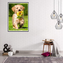 Lade das Bild in den Galerie-Viewer, Hund - voller runder Diamant - 30x40cm
