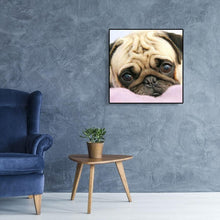 Lade das Bild in den Galerie-Viewer, Hund - voller runder Diamant - 30x30cm
