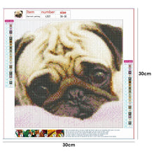 Lade das Bild in den Galerie-Viewer, Hund - voller runder Diamant - 30x30cm