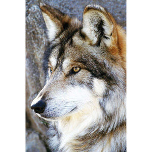 Wolf - runder runder Diamant - 30x40cm