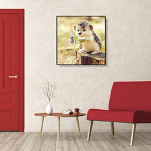 Lade das Bild in den Galerie-Viewer, Igel - volle Diamant-Malerei - 30x30cm