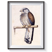 Lade das Bild in den Galerie-Viewer, Vogel - volle Diamant-Malerei - 40x30cm