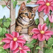 Lade das Bild in den Galerie-Viewer, Katze - volle Diamant-Malerei - 30x30cm