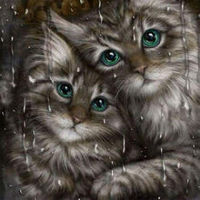 Lade das Bild in den Galerie-Viewer, Katze - volle Diamant-Malerei - 30x30cm