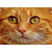 Lade das Bild in den Galerie-Viewer, Katze - volle Diamant-Malerei - 40x30cm