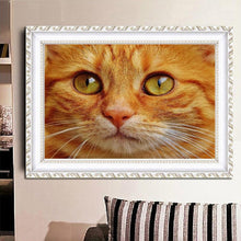Lade das Bild in den Galerie-Viewer, Katze - volle Diamant-Malerei - 40x30cm