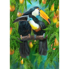 Lade das Bild in den Galerie-Viewer, Vogel - volle Diamant-Malerei - 30x40cm