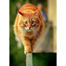 Lade das Bild in den Galerie-Viewer, Katze - volle Diamant-Malerei - 30x40cm