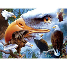 Lade das Bild in den Galerie-Viewer, Adler - volle Diamant-Malerei - 30x40cm