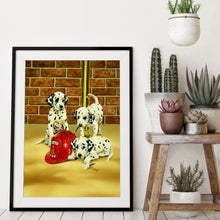 Lade das Bild in den Galerie-Viewer, Hund - volle Diamant-Malerei - 30x40cm