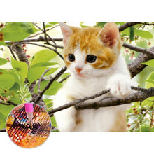 Lade das Bild in den Galerie-Viewer, Katze - volle Diamant-Malerei - 30x40cm