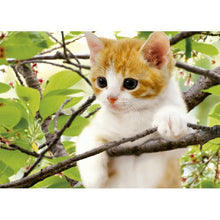 Lade das Bild in den Galerie-Viewer, Katze - volle Diamant-Malerei - 30x40cm