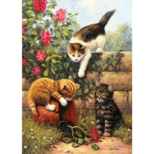 Lade das Bild in den Galerie-Viewer, Katzen - volle Diamant-Malerei - 30x40cm
